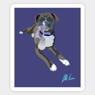 Saffy the Boxer Sticker